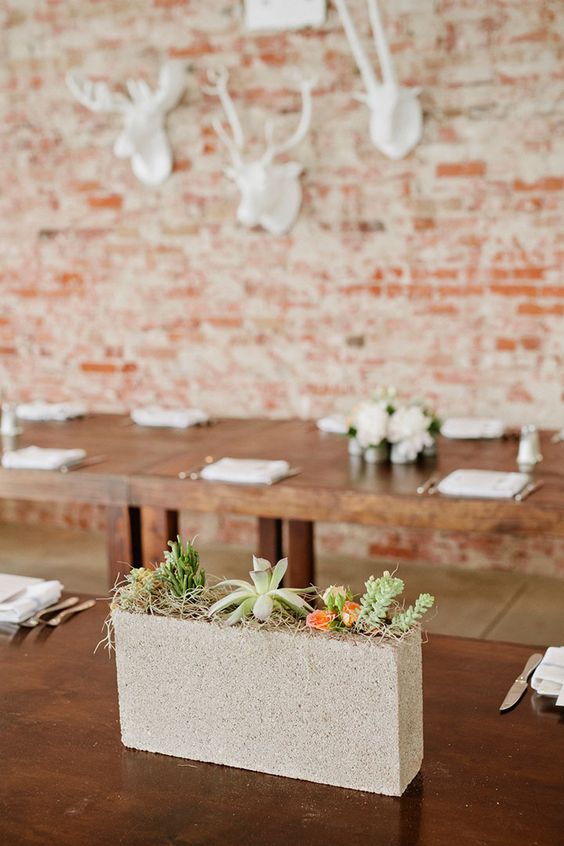 concrete box with succulents