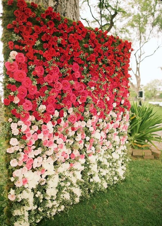 stunning ombre from red to white floral wall