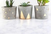 30 concrete and gold pots with various succulents for decor or favors