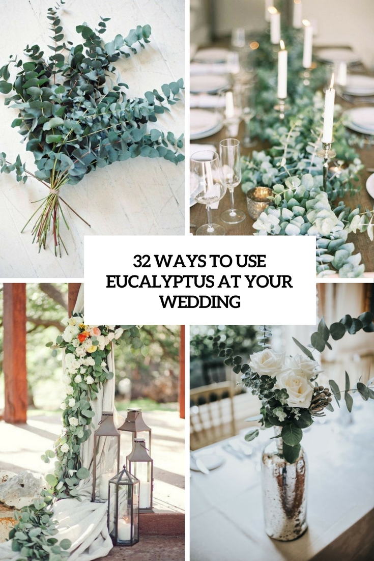 ways to use eucalyptus at your wedding cover