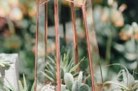 07 copper geometric terrarium with suculents and cacti inside