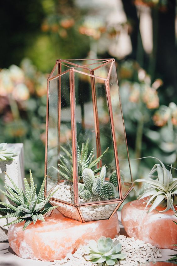 copper geometric terrarium with suculents and cacti inside