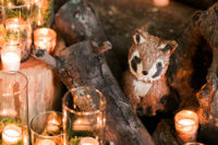 candles and logs decor