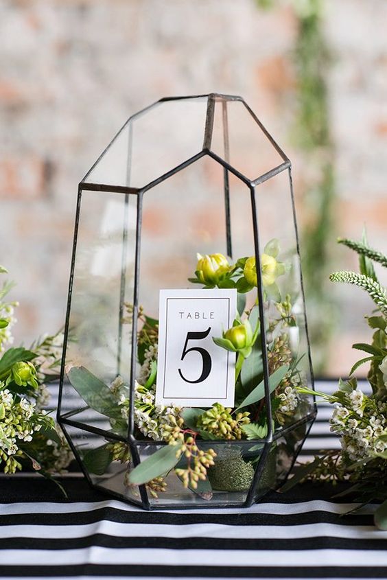 black frame terrarium with greenery inside and a table number
