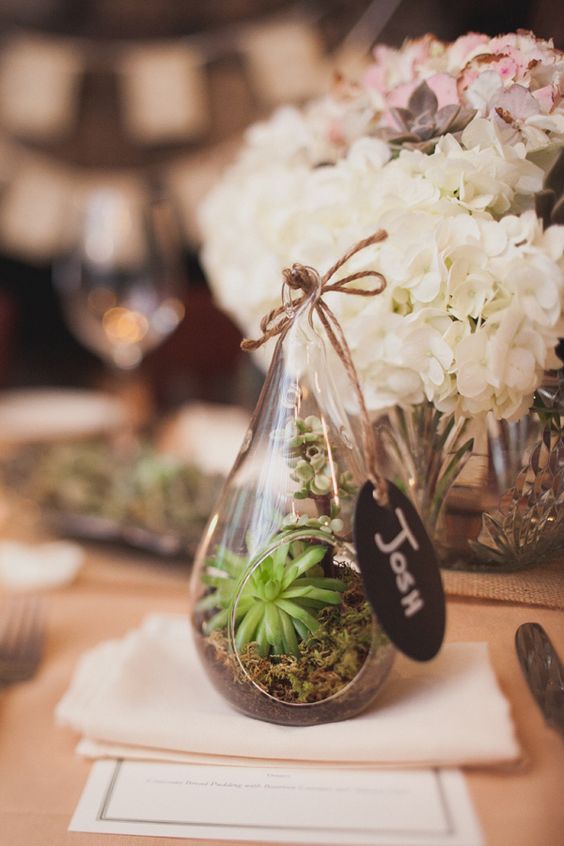 mini-terrariums with succulents as place cards and favors