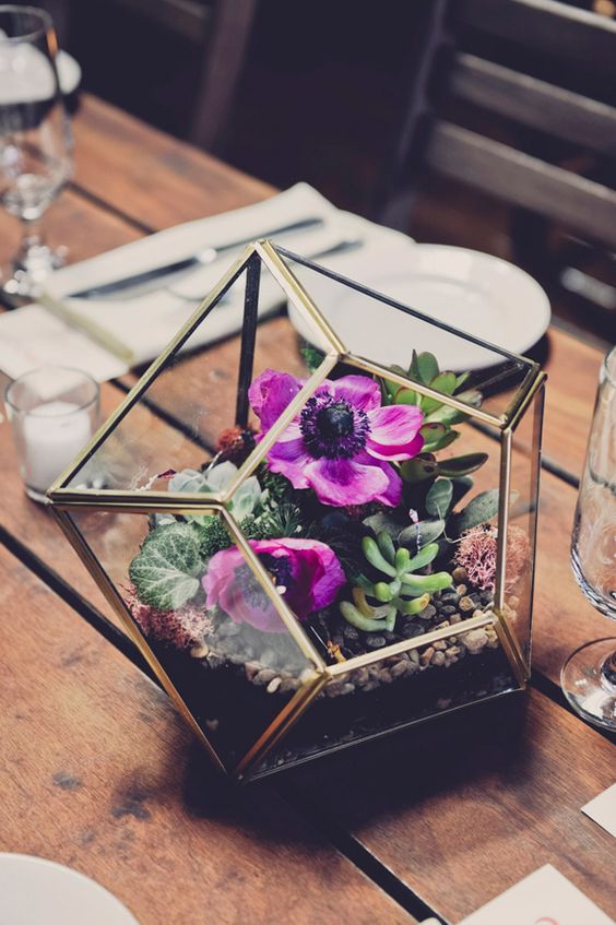geo terrarium with bold purple flowers and succulents