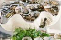 27 oysters served in giant shells are a cool idea