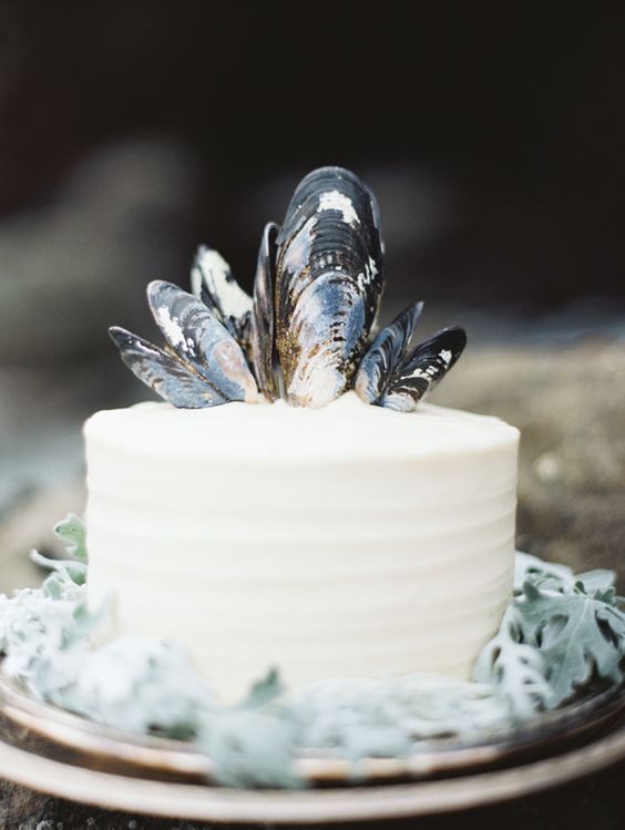 one-tier wedding cake topped with mussel shells