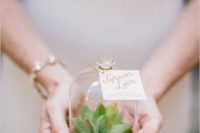 37 succulent terrarium wedding favors