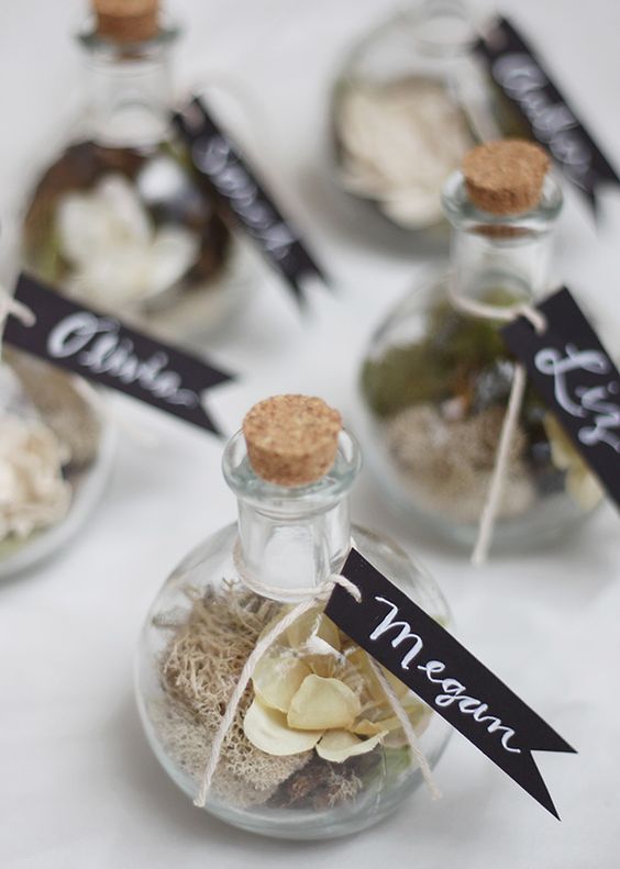 terrarium escort cards and favors is a creative and cool idea