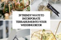 39 trendy ways to incorporate terrariums into your wedding decor cover