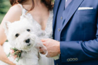 08 The couple’s dog took part in the wedding and it was wearing a cool floral collar