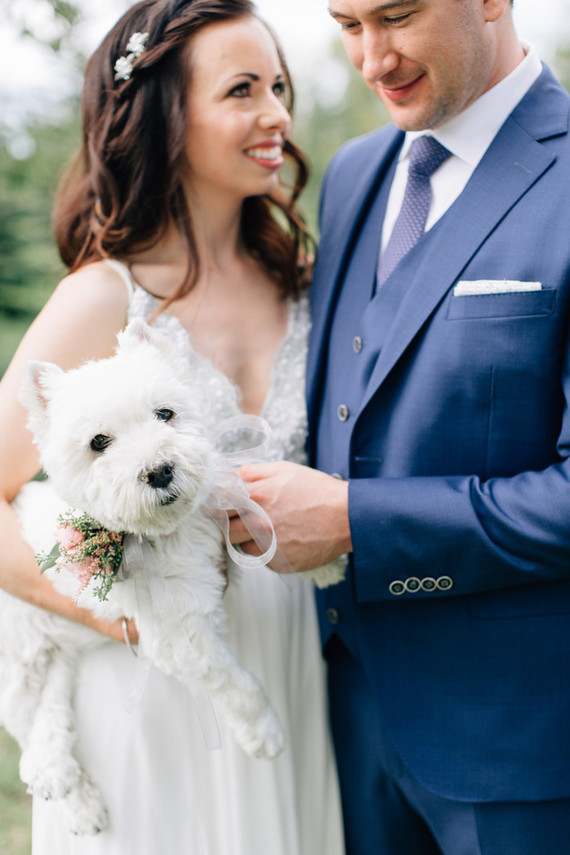 The couple's dog took part in the wedding and it was wearing a cool floral collar