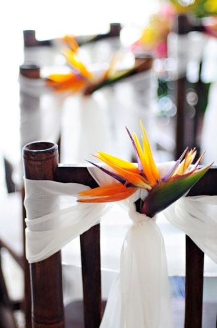 white tulle and bright tropical flowers for decorating chairs