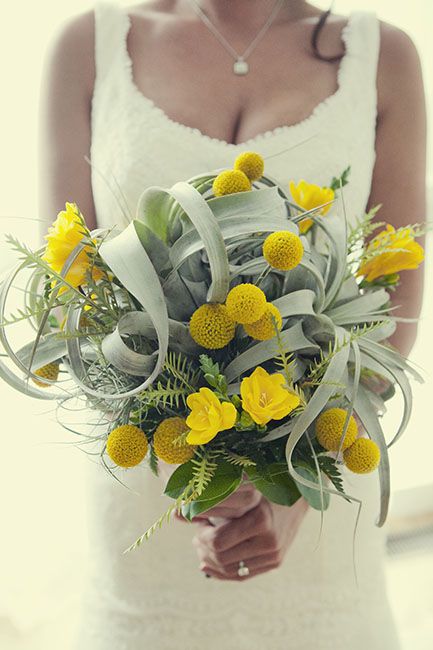 a bold bouquet with pale air plants, billy balls and yellow blooms