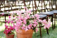 08 pink and fuchsia potted flowers will be a great idea for a colorful summer wedding