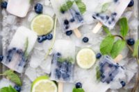 14 blueberry mojito popsicles refresh very well