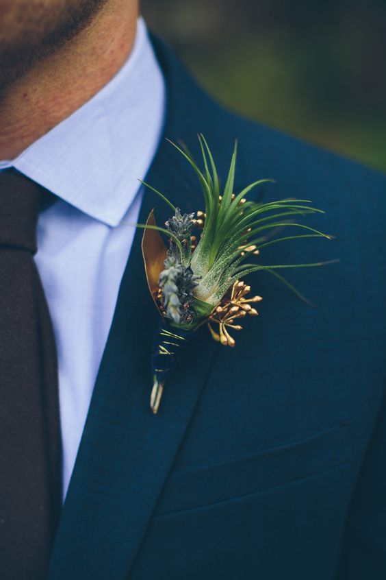 a stylish air plant boutonniere with metallic gold touches