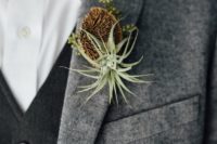 16 an air plant and sea piece boutonniere