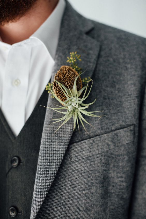an air plant and sea piece boutonniere