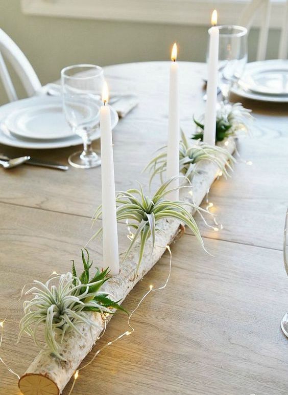 a birch log centerpiece with LEDs and air plants
