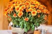 18 a pot covered with burlap and bold fall blooms