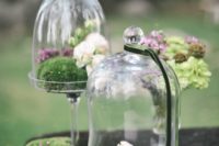 18 cloches with moss and white and blush blooms