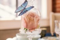 22 a single blush blooms in a tiny cloche with a faux butterfly
