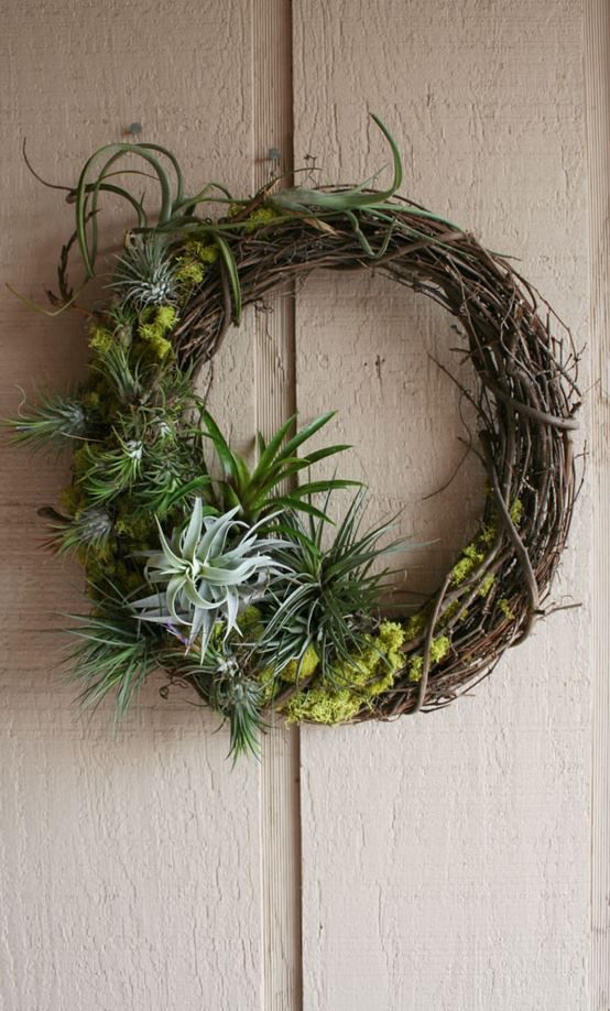 a rustic wreath with moss and air plants looks cool, fresh and original