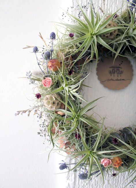 a cool textural wreath with air plants, wildflowers and tea roses