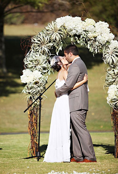 a wedding arch with white hydrangeas and air plants