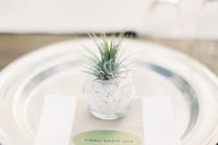 26 air plants as wedding favors and place card holders
