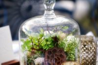 27 a cloche with moss, greenery and a lotus