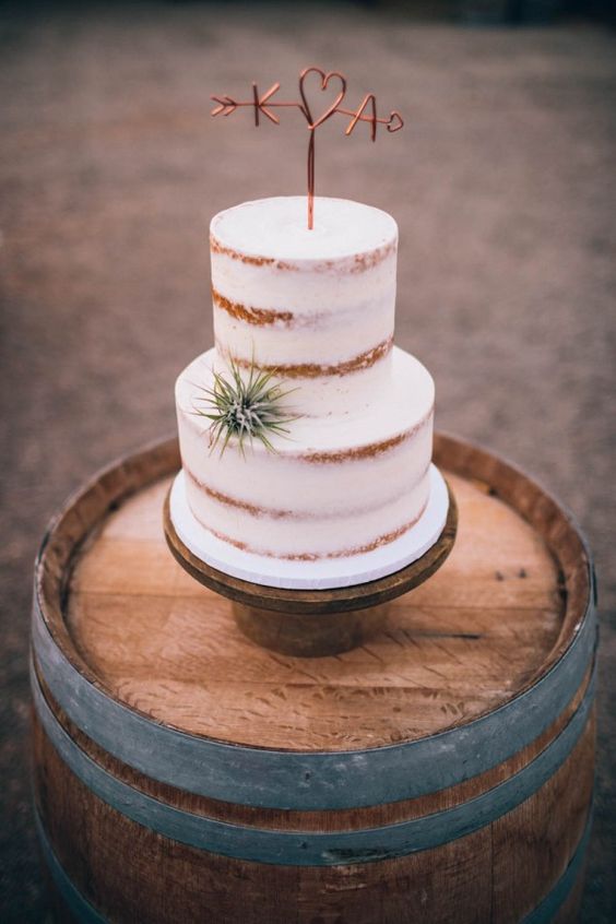 semi frosted wedding cake with a copper topper and a small air plant