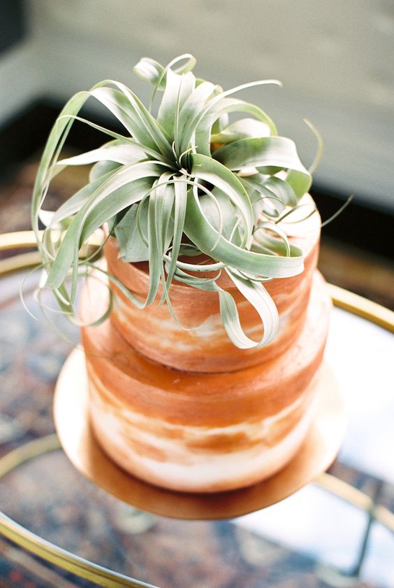 semi-naked copper wedding cake topped with a large air plant