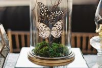 a beautiful wedding decoration of a cloche with moss and a branch with butterflies is amazing