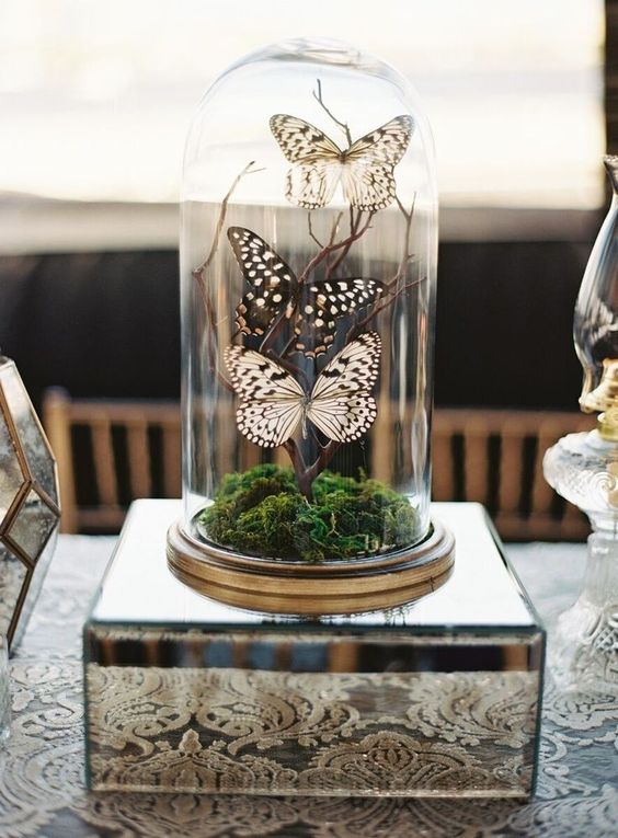 a beautiful wedding decoration of a cloche with moss and a branch with butterflies is amazing