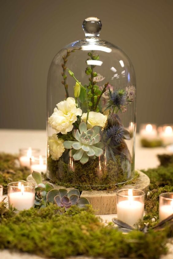 a catchy wedding centerpiece of a cloche with moss, white blooms, greenery, thistles and succulents