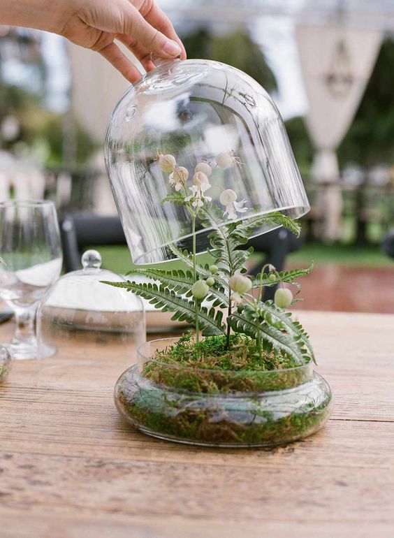 a catchy woodland wedding centerpiece of a glass cloche with greenery and berries is a cool decoration