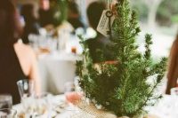 a simple and cute rustic wedding Centerpiece of a baby pine tree planted and wrapped with burlap