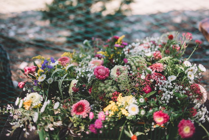 Aren't these flowers gorgeous for decorating a boho wedding