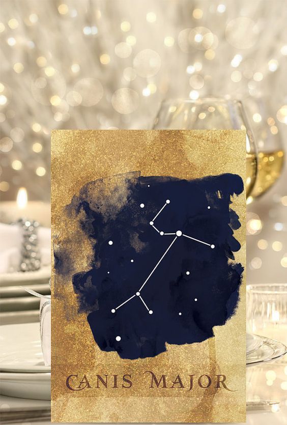 chic gold glitter and navu constellation table names
