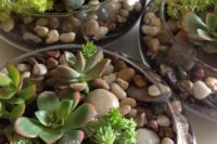 02 a glass bowl with succulents and pebbles is a trendy idea because succulents are super hot