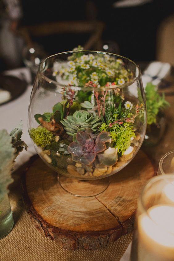 a glass bowl with pebbles, moss and succulents is a small terrarium, which is great for a woodland wedding