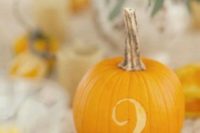 09 small orange pumpkin with a table number carved