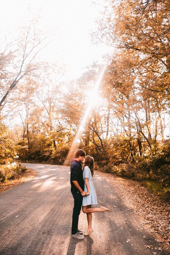 an amazing picture in a fall sunlight forest is very romantic
