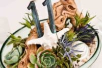 15 a glass bowl with driftwood, succulents, starfish and table numbers will be amazing on a beach wedding table