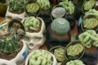 22 human skull planters with cacti and succulents for wedding favors