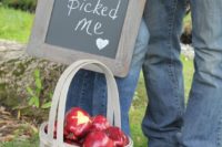 24 apples are truly fall-like, and you can incorporate them into your engagement shoot