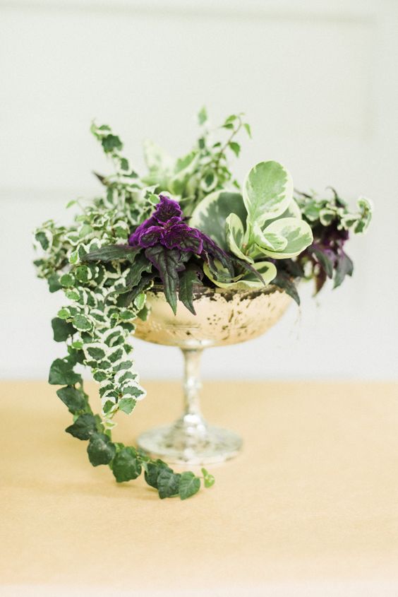a vintage silver bowl with various cascading greenery for a garden or vintage wedding